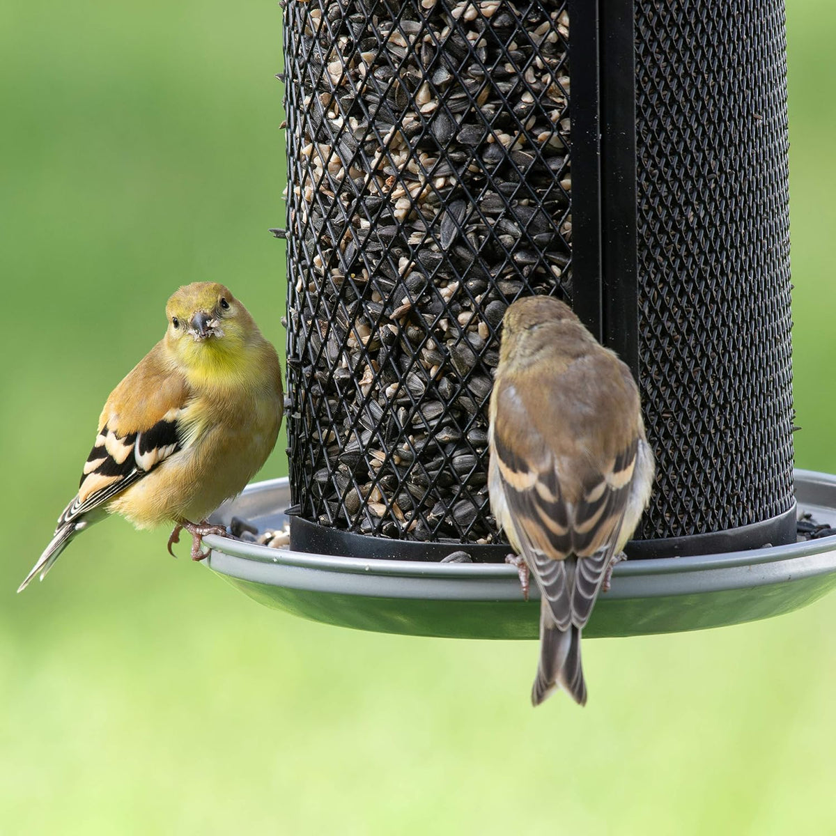perky-pet dual mesh wild bird seed feeder, side view