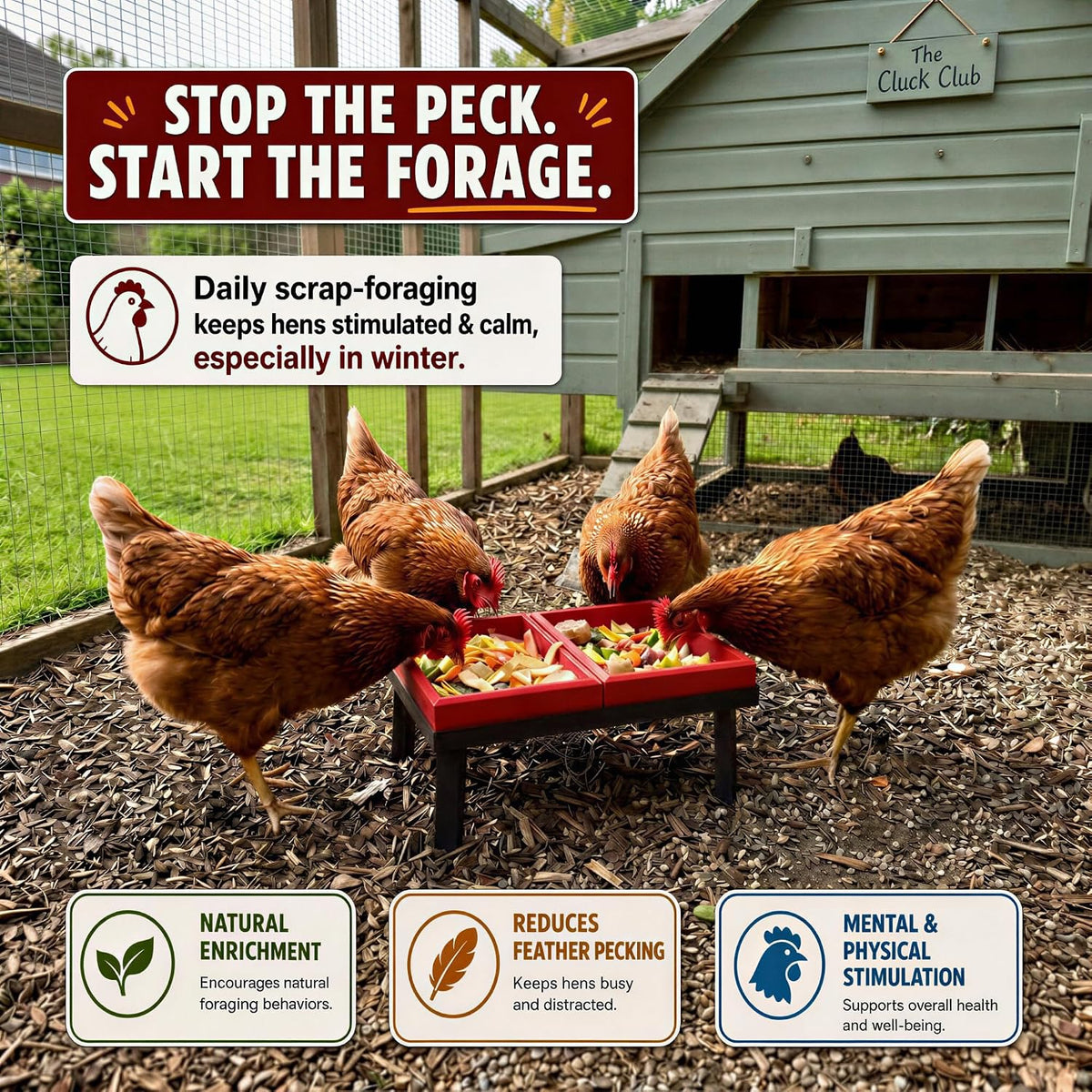 kitchen scrap feeder for chickens, metal stand w, side view
