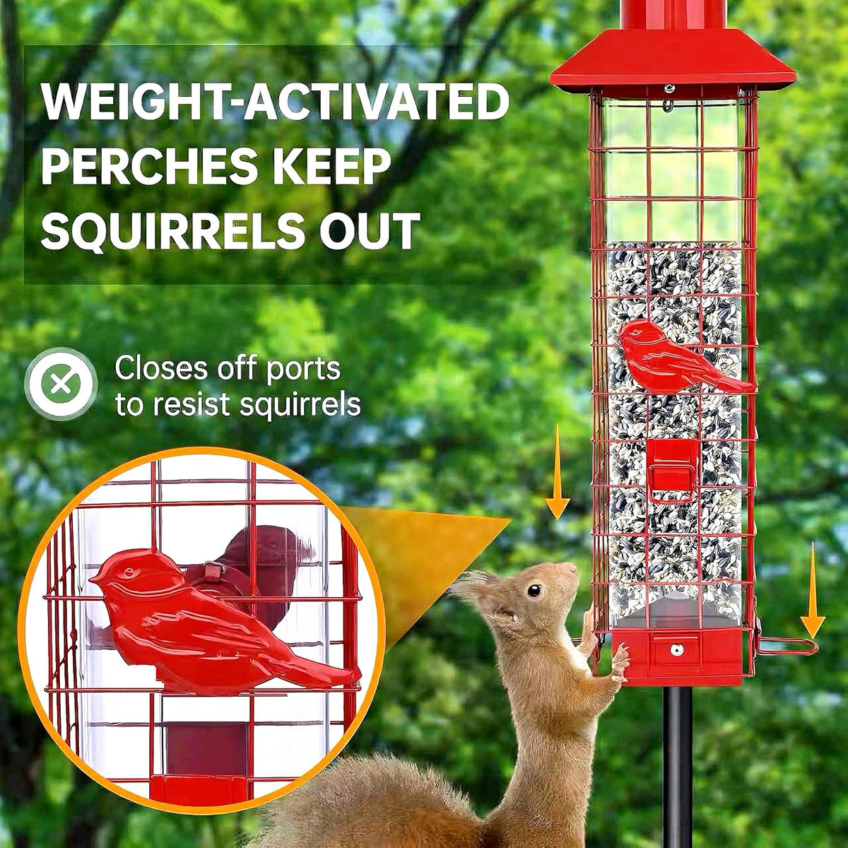 squirrel proof bird feeder, metal sensing cage, 3lb, close-up detail