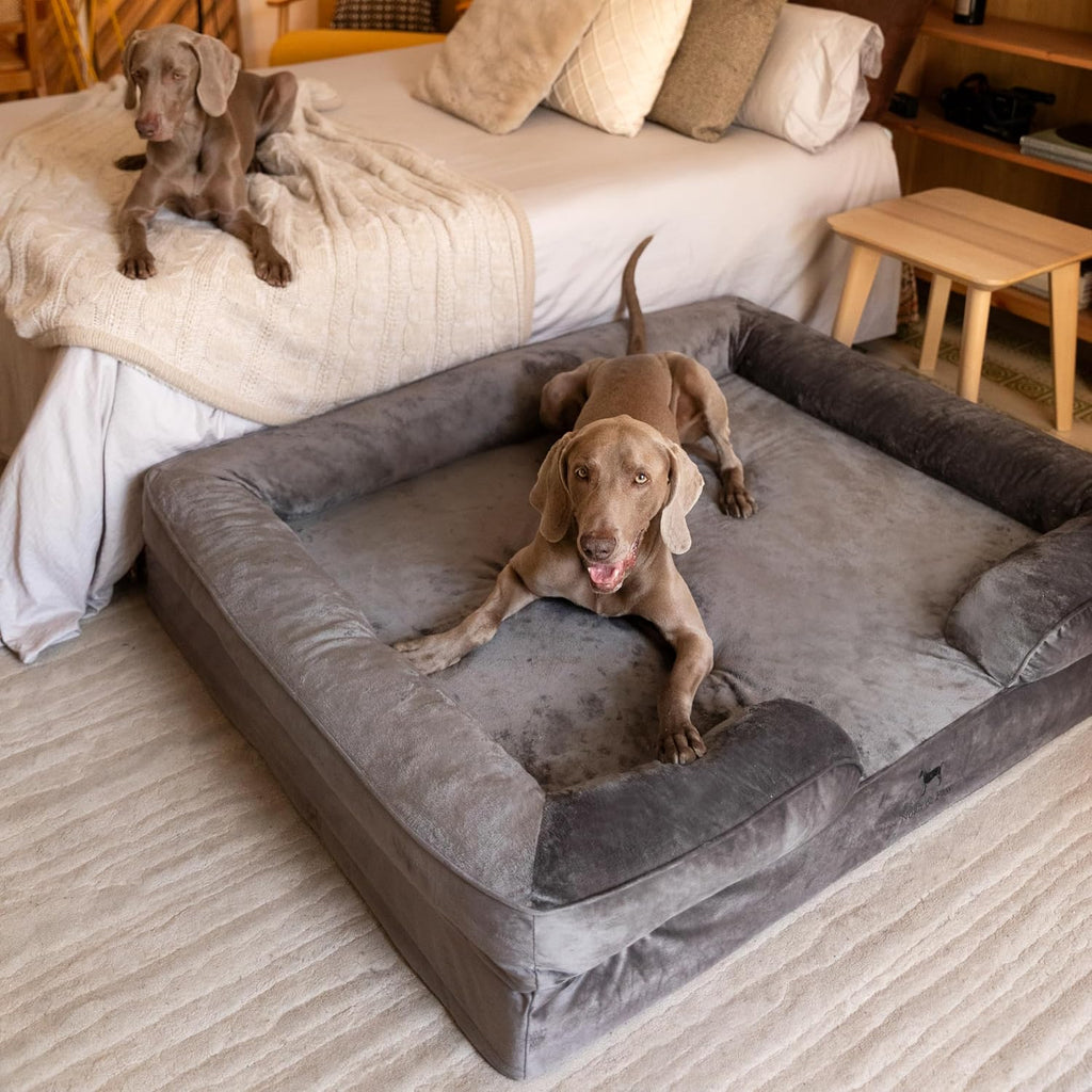 noah & paw xxl dog bed, orthopedic memory, close-up detail