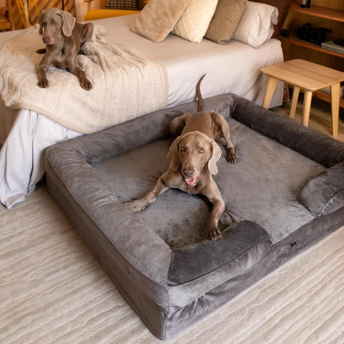 noah & paw xxl dog bed, orthopedic memory, close-up detail