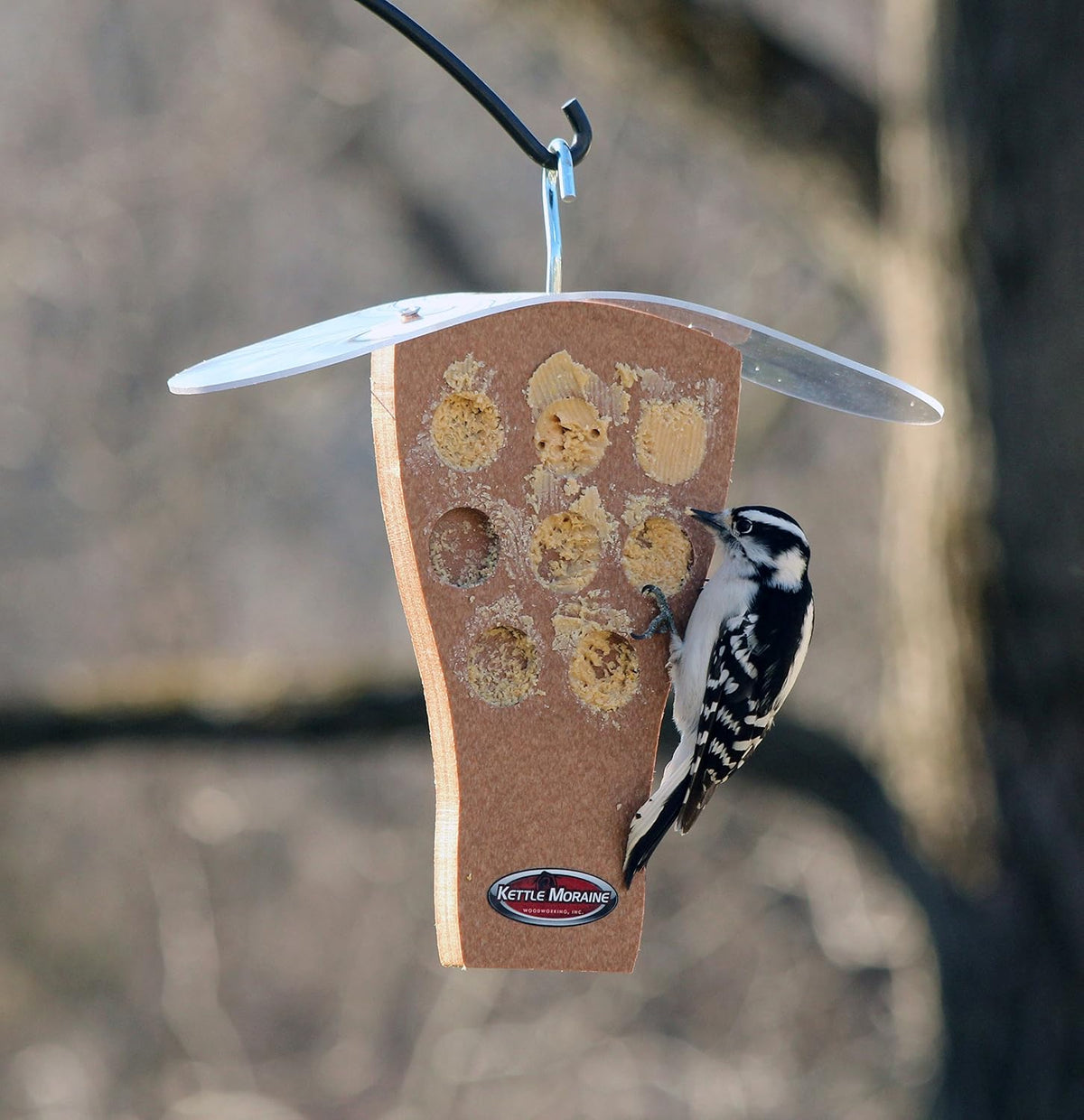 kettle moraine peanut butter feeder with clear roof, side view