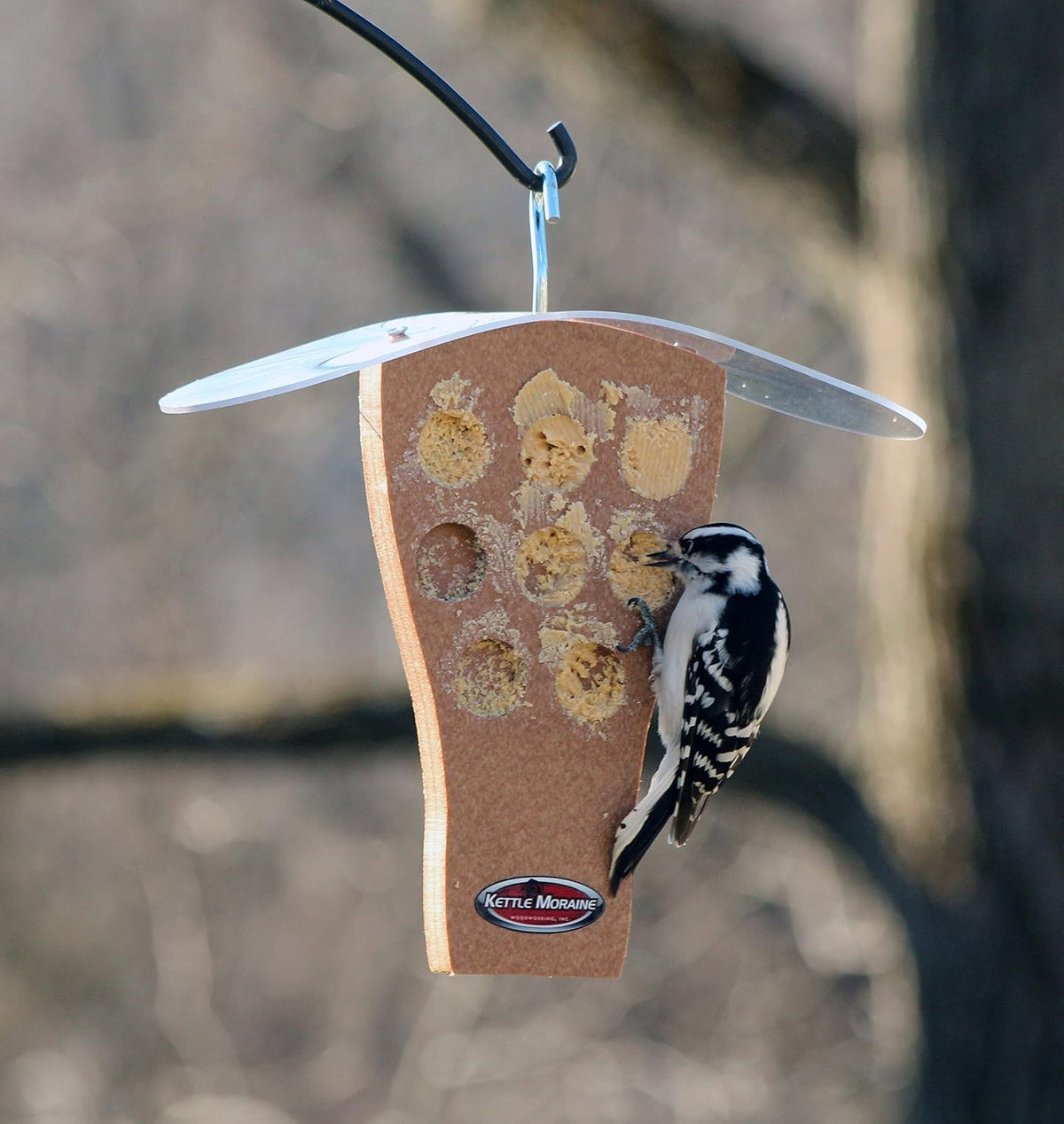kettle moraine peanut butter feeder with clear roof showing dimensions