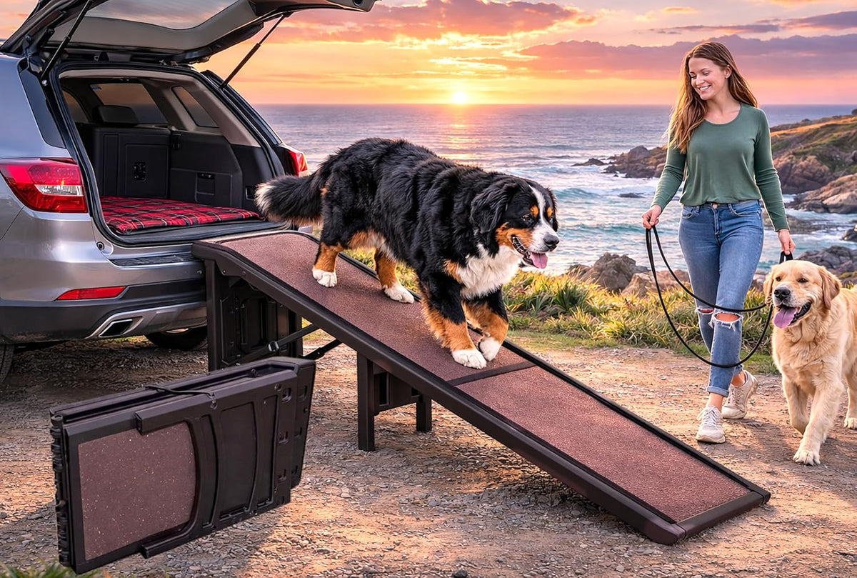 pet gear free standing pet ramp for cats, main product view
