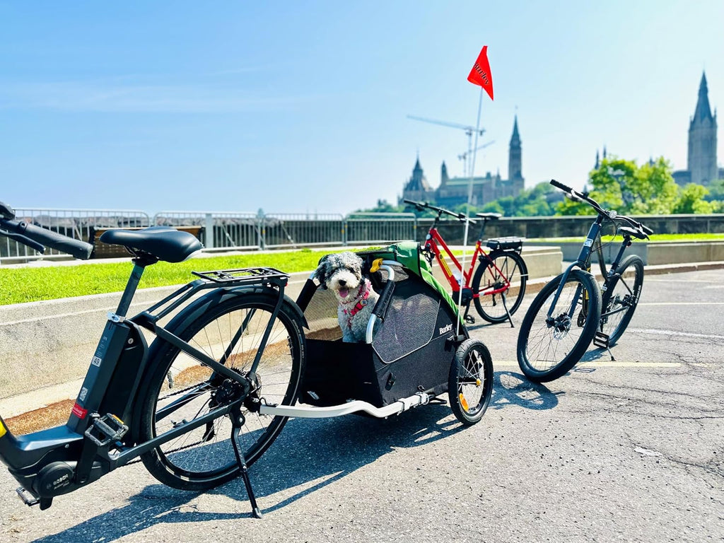 burley tail wagon | lightweight dog bike trailer shown in use