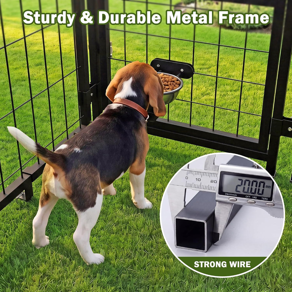 dog kennel outdoor enclosure with roof, 8x4x6 ft showing dimensions