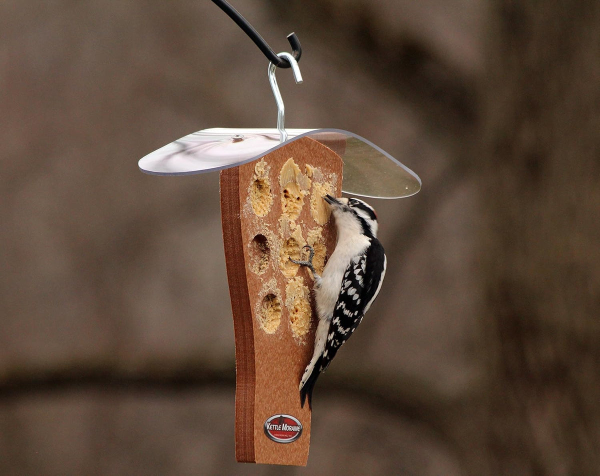 kettle moraine peanut butter feeder with clear roof shown in use