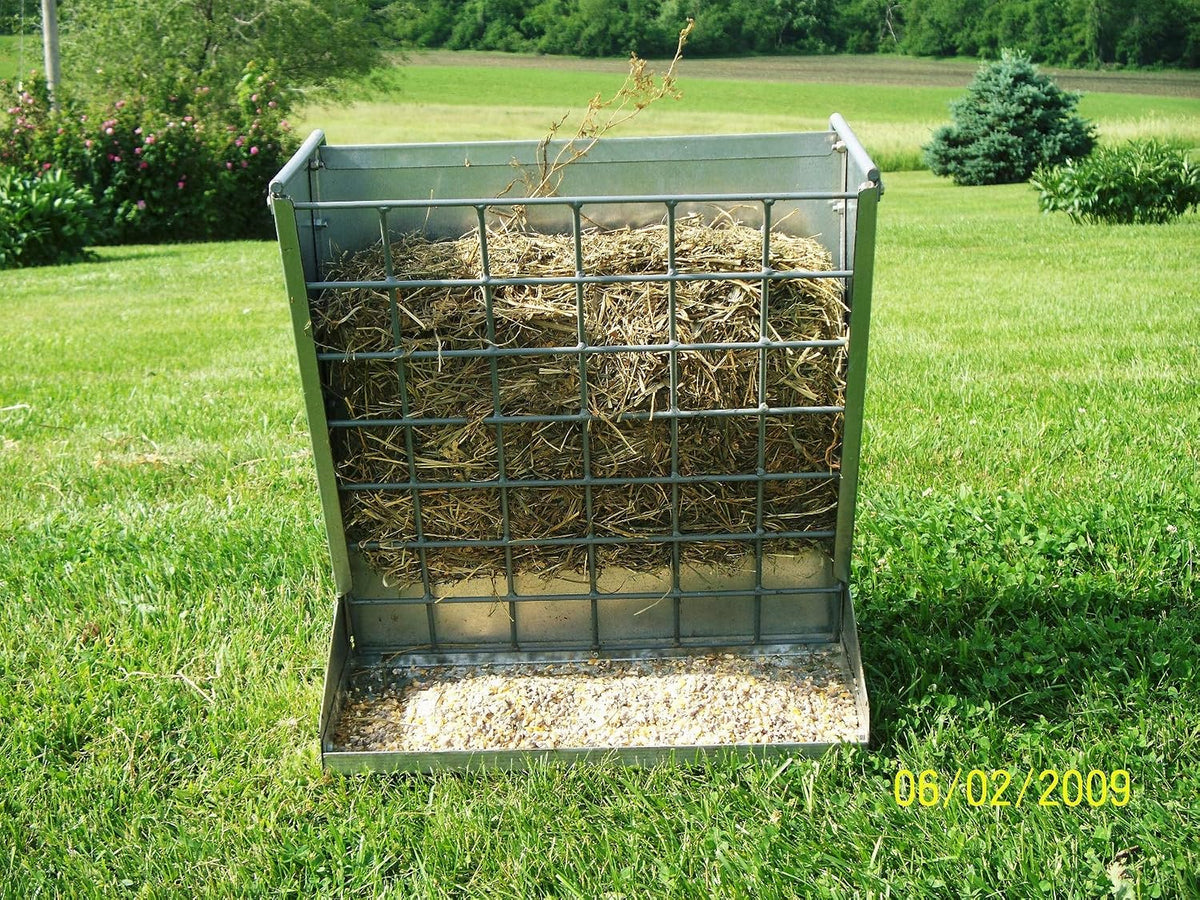 little giant® mountable sheep and goat feeder shown in use