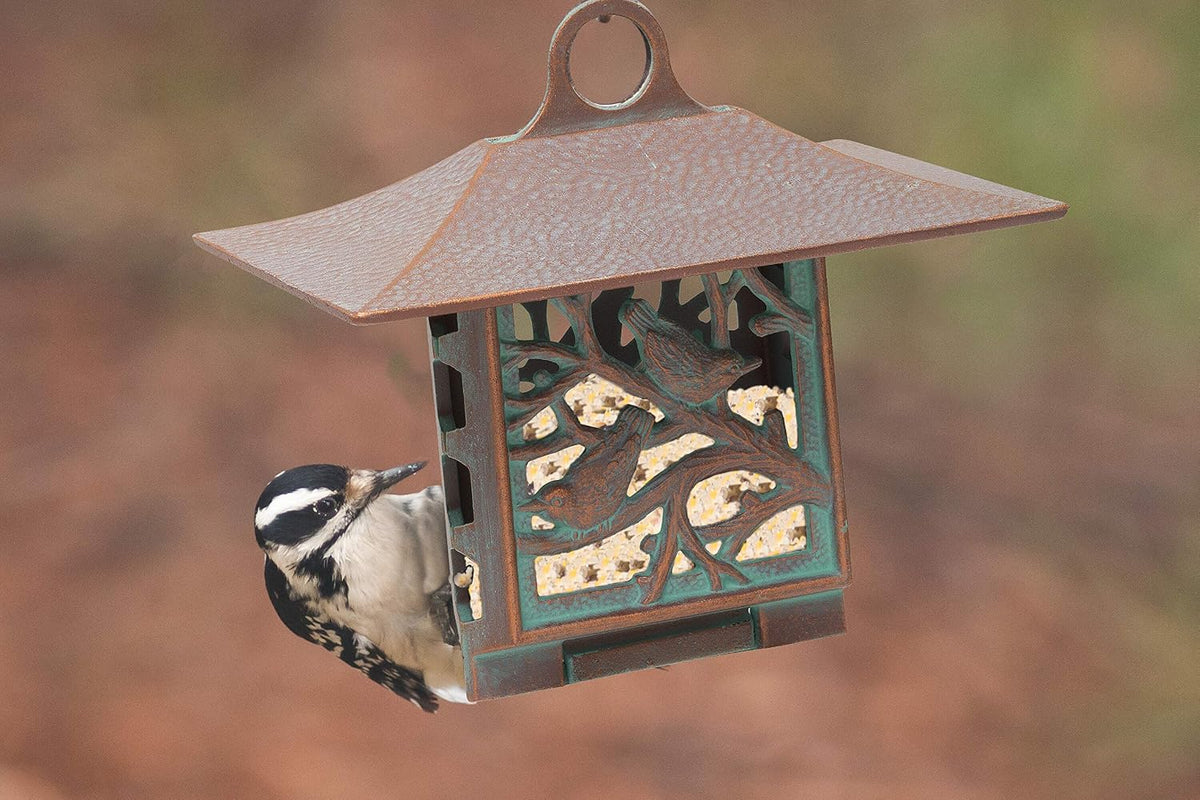 whitehall products nuthatch suet feeder, copper verdi shown in use