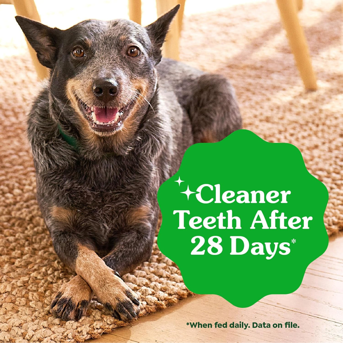 greenies veterinarian-recommended natural dental dog treats, dental chews, side view