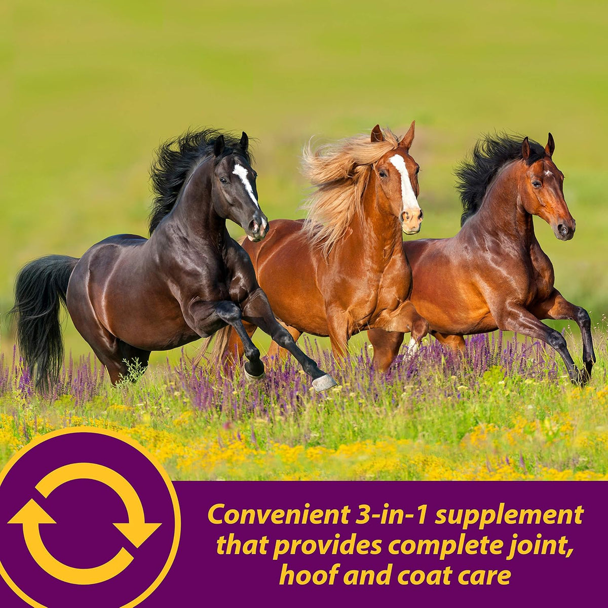 horse health joint combo hoof & coat, convenient, side view