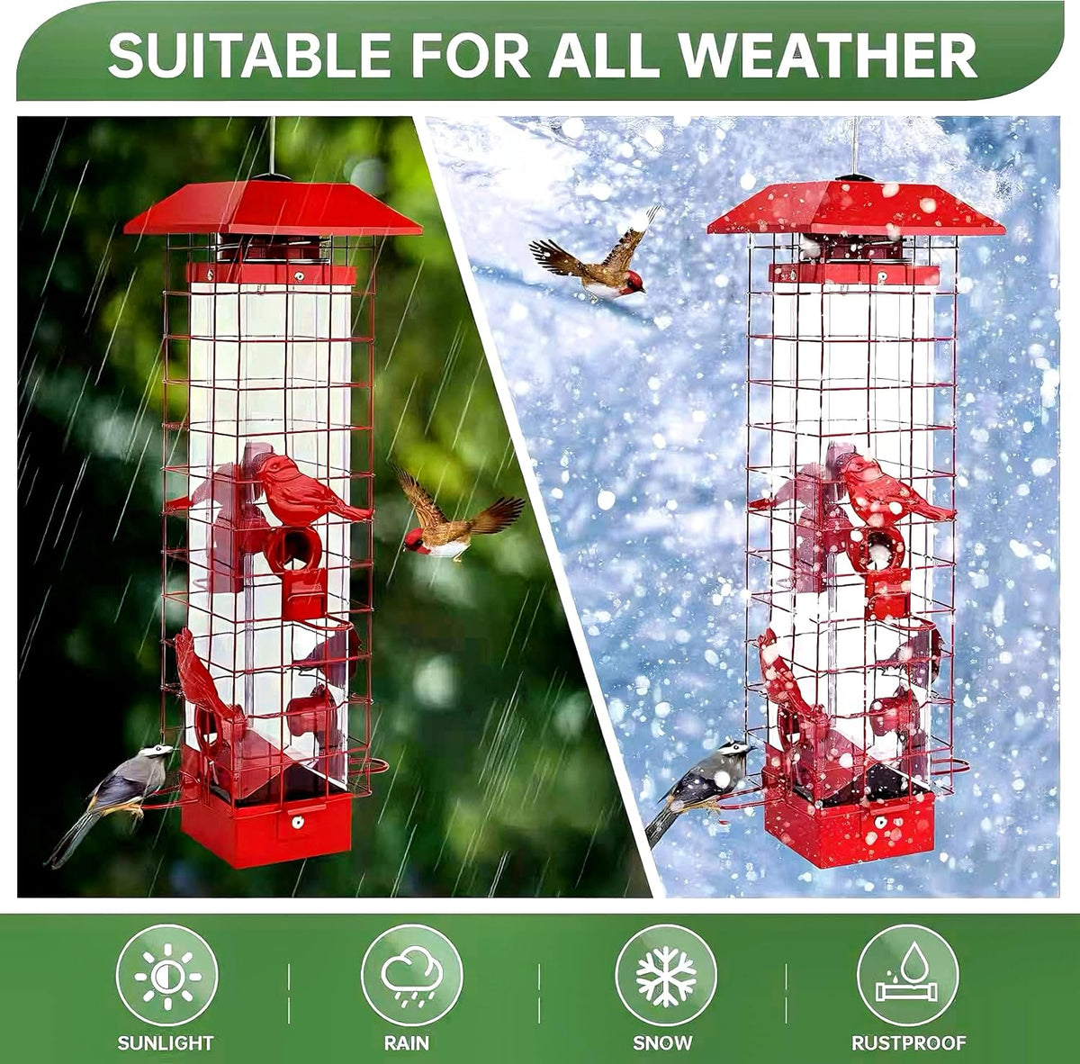 squirrel proof bird feeder, metal sensing cage, 3lb showing dimensions