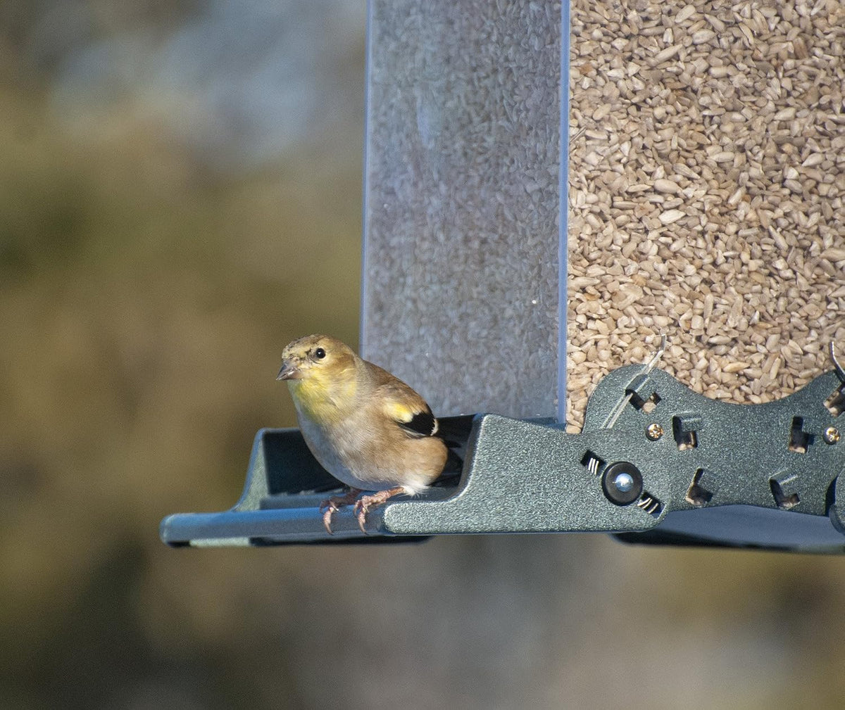 audubon vista squirrel resistant bird feeder model 75160, side view