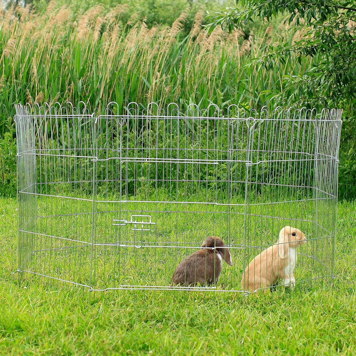 lionto outdoor enclosure for rabbits made of robust showing dimensions