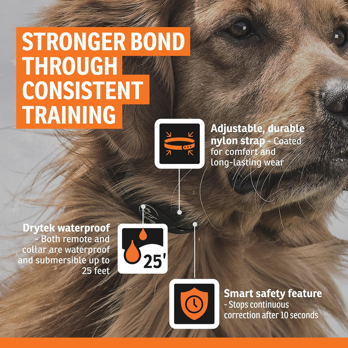sportdog yardtrainer 100 remote dog trainer, 100-yard range showing dimensions
