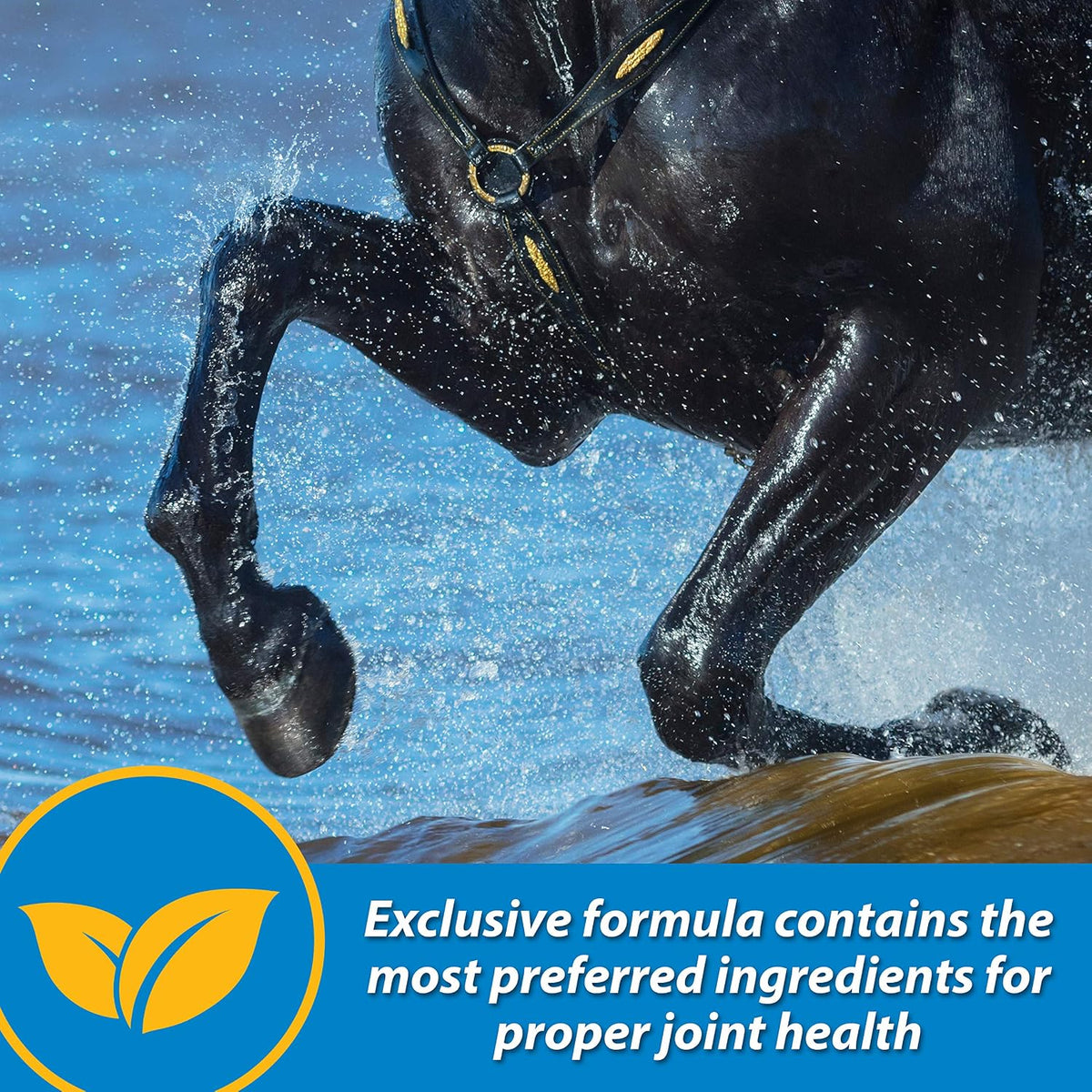 farnam fluidflex liquid joint supplement for horses, glucosamine showing dimensions