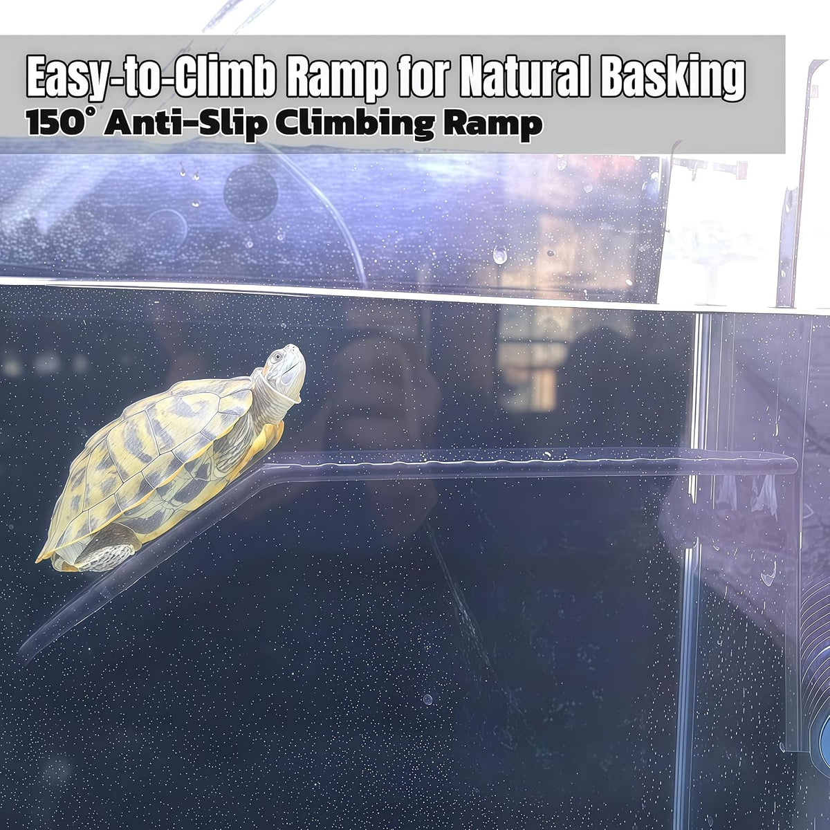 large turtle basking platform,11in*11in*1.6in, heavy duty, front angle view