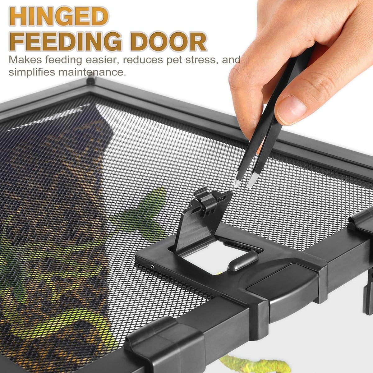 12"x8"x8" reptile terrarium, escape-proof glass terrestrial vivarium for, close-up detail