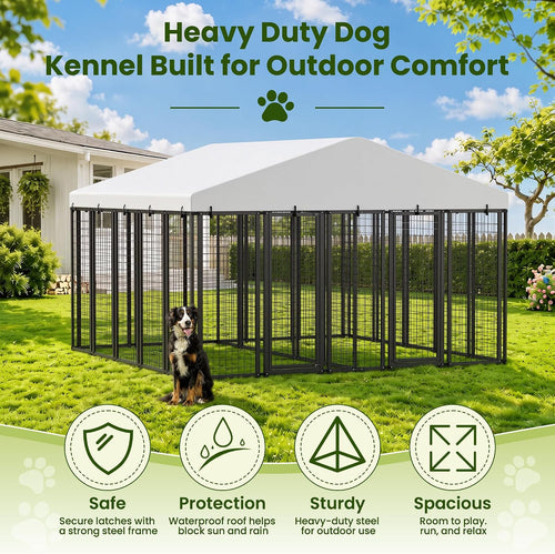 10 x 6 ftdog kennel outdoor, dual-compartment dog shown in use