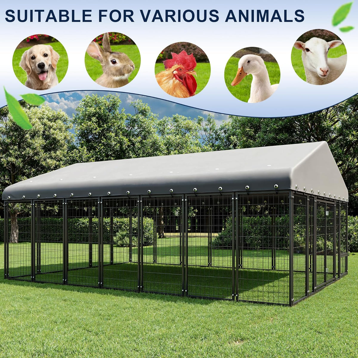 10x14ft dog kennel outside double door dog kennel showing dimensions