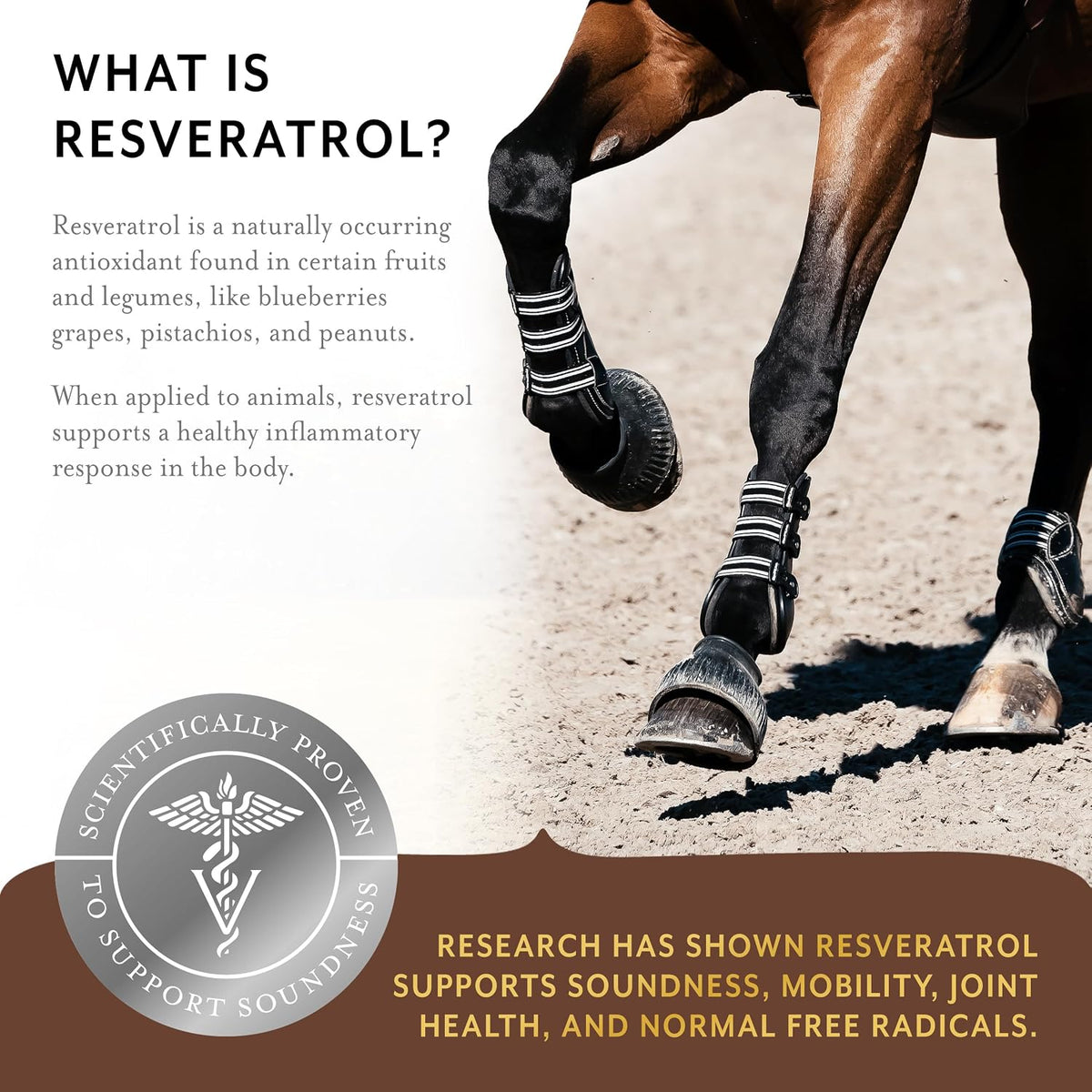 equithrive original joint powder horse supplement, 2 lbs, side view