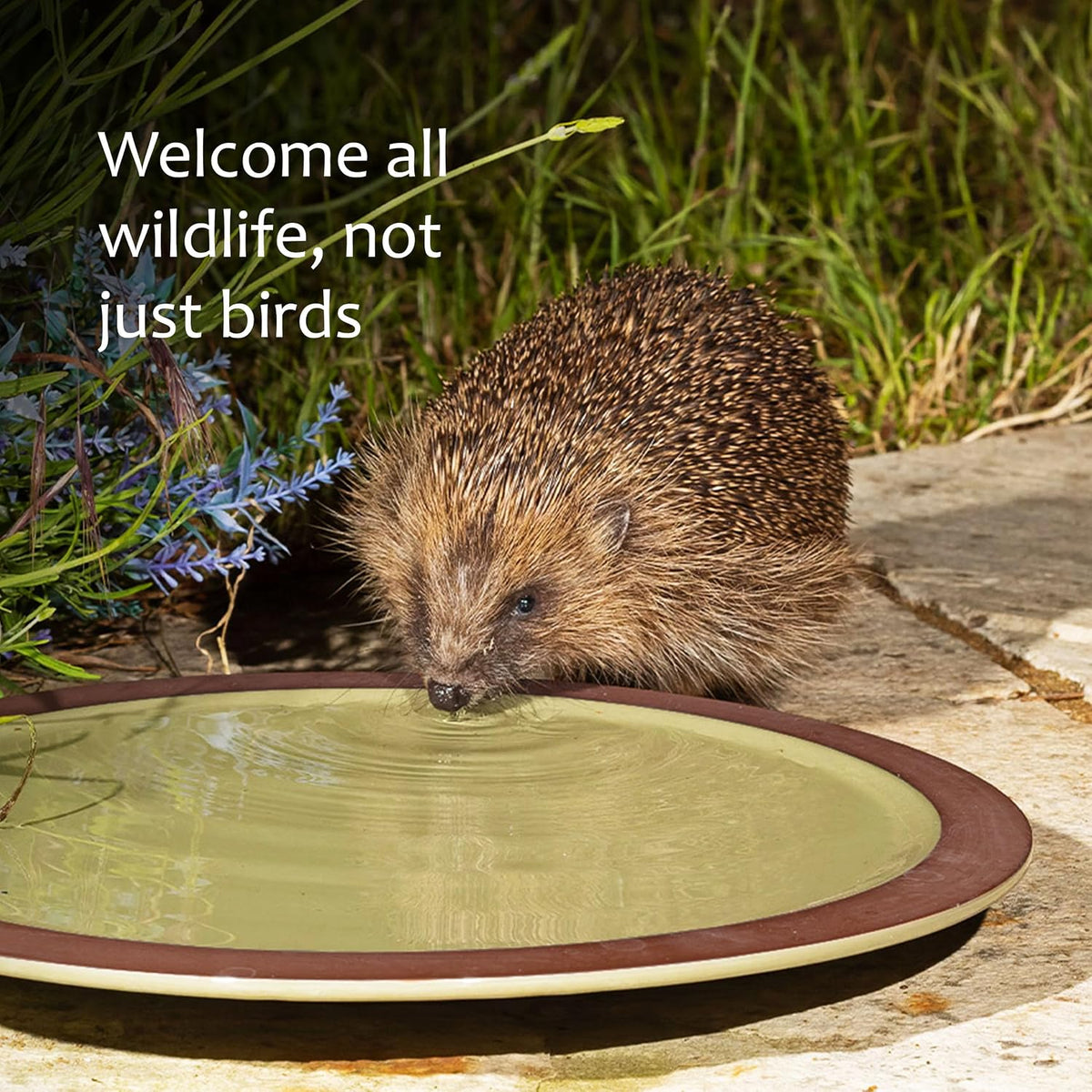 jacobi jayne bird bath for garden birds anyplace™, side view