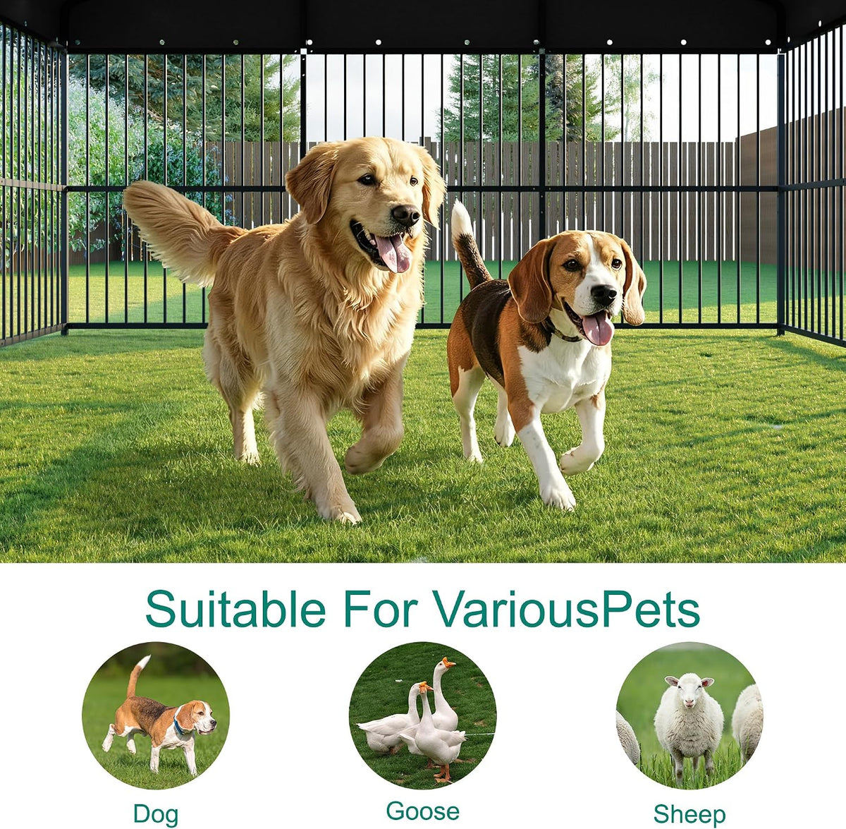 10x20x6.5 ft large dog kennel, outdoor dog enclosure, front angle view