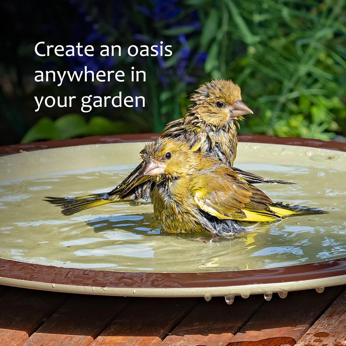 jacobi jayne bird bath for garden birds anyplace™ shown in use