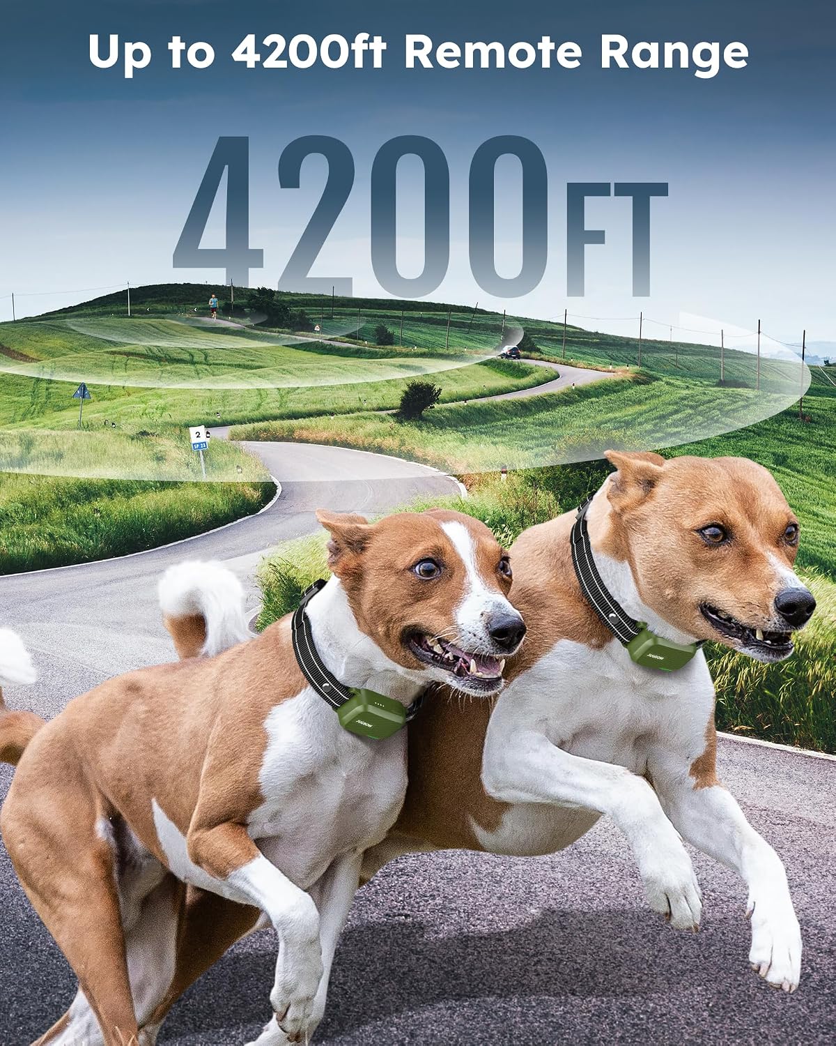 shock collar for 2 dogs with remote, 4200ft, close-up detail