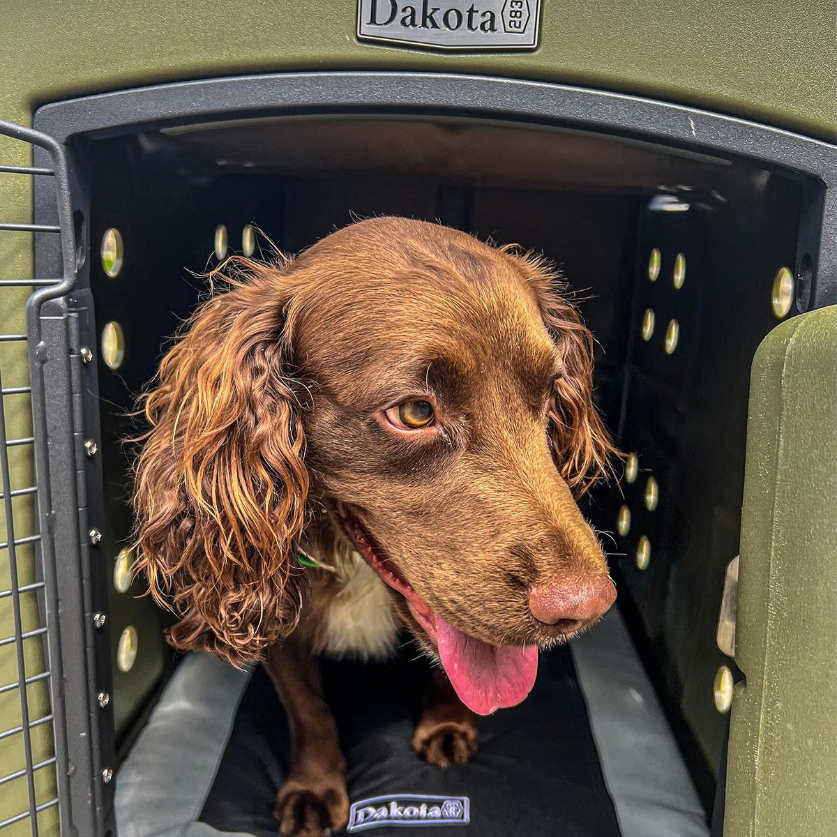 dakota283 g3 portable high-security framed dog kennel, olive shown in use