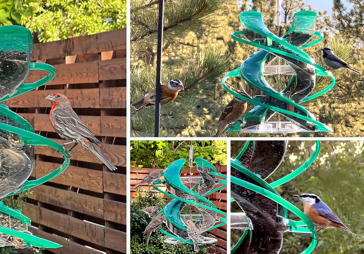 cascade® dna™ songbird seed feeder, allows 2 types, side view