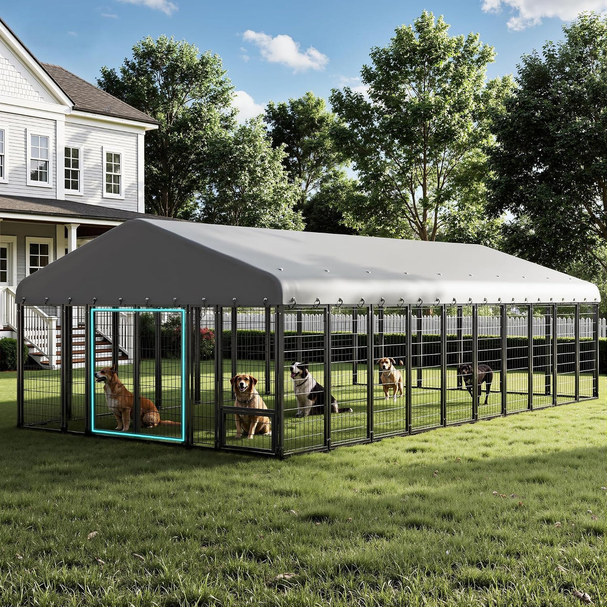 20 ft large outdoor dog kennel with double, main product view