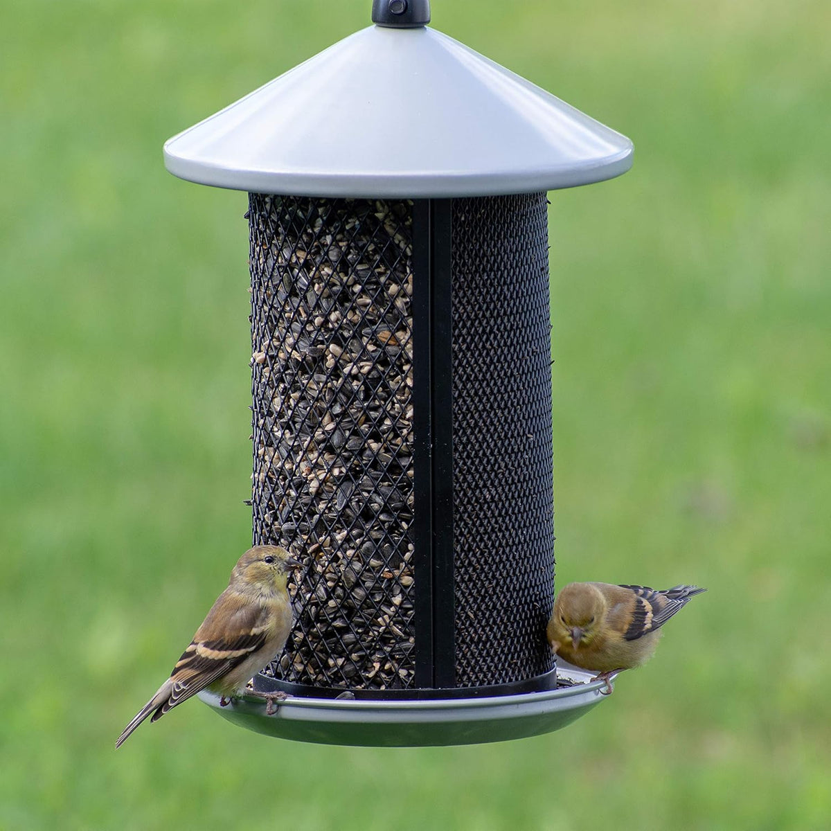 perky-pet dual mesh wild bird seed feeder showing dimensions