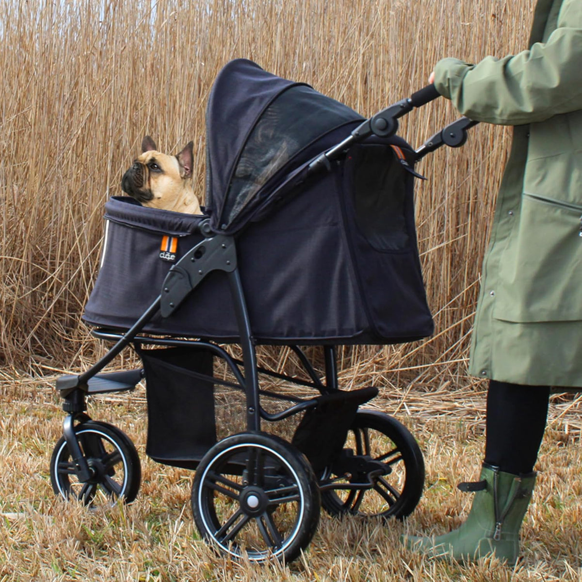 cooper dog & pet robust buggy, jogger holds, view 10