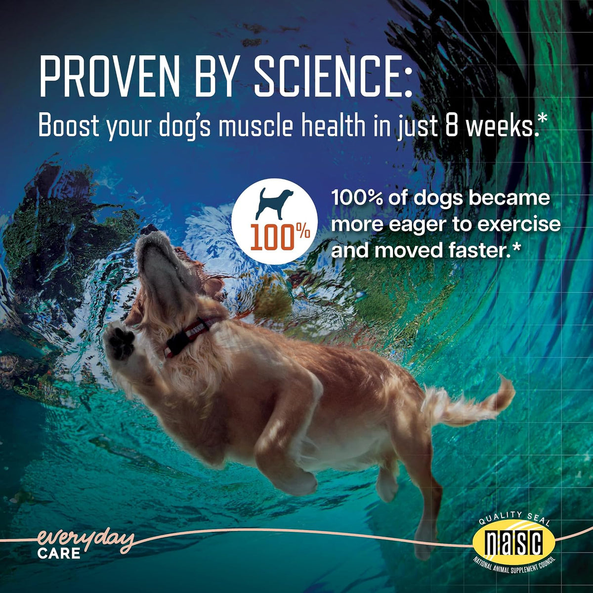 virbac ursolyx soft chews for dogs | muscle shown in use