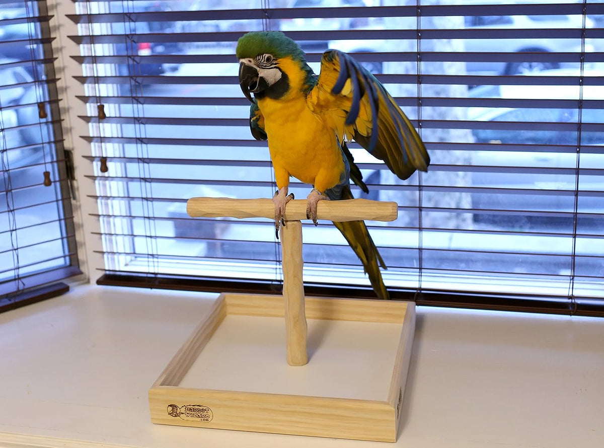 deluxe large tabletop nu perch - parrot t showing dimensions