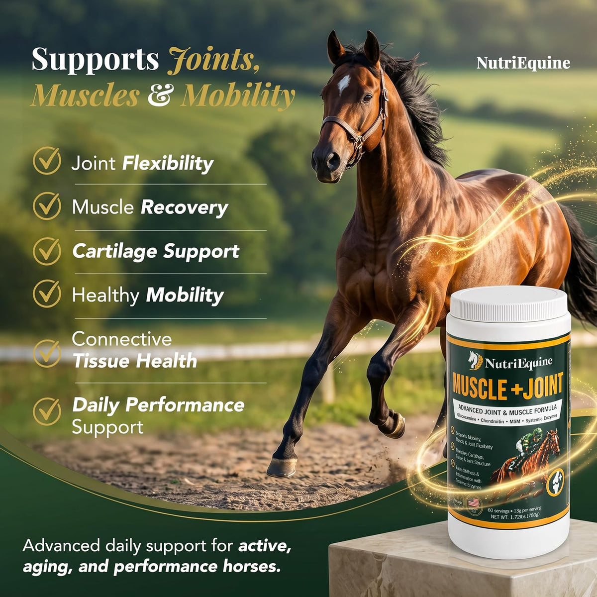 horse joint supplement powder, glucosamine, chondroitin & msm showing dimensions