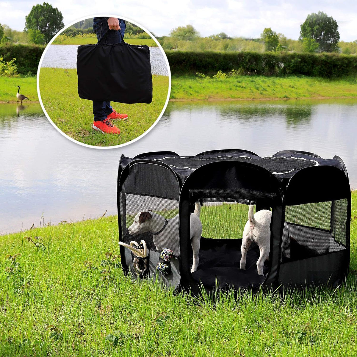 lionto puppy run made of oxford fabric &, close-up detail