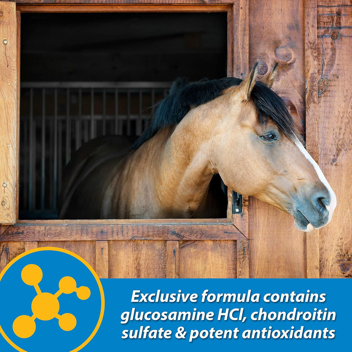 farnam fluidflex liquid joint supplement for horses, glucosamine, side view