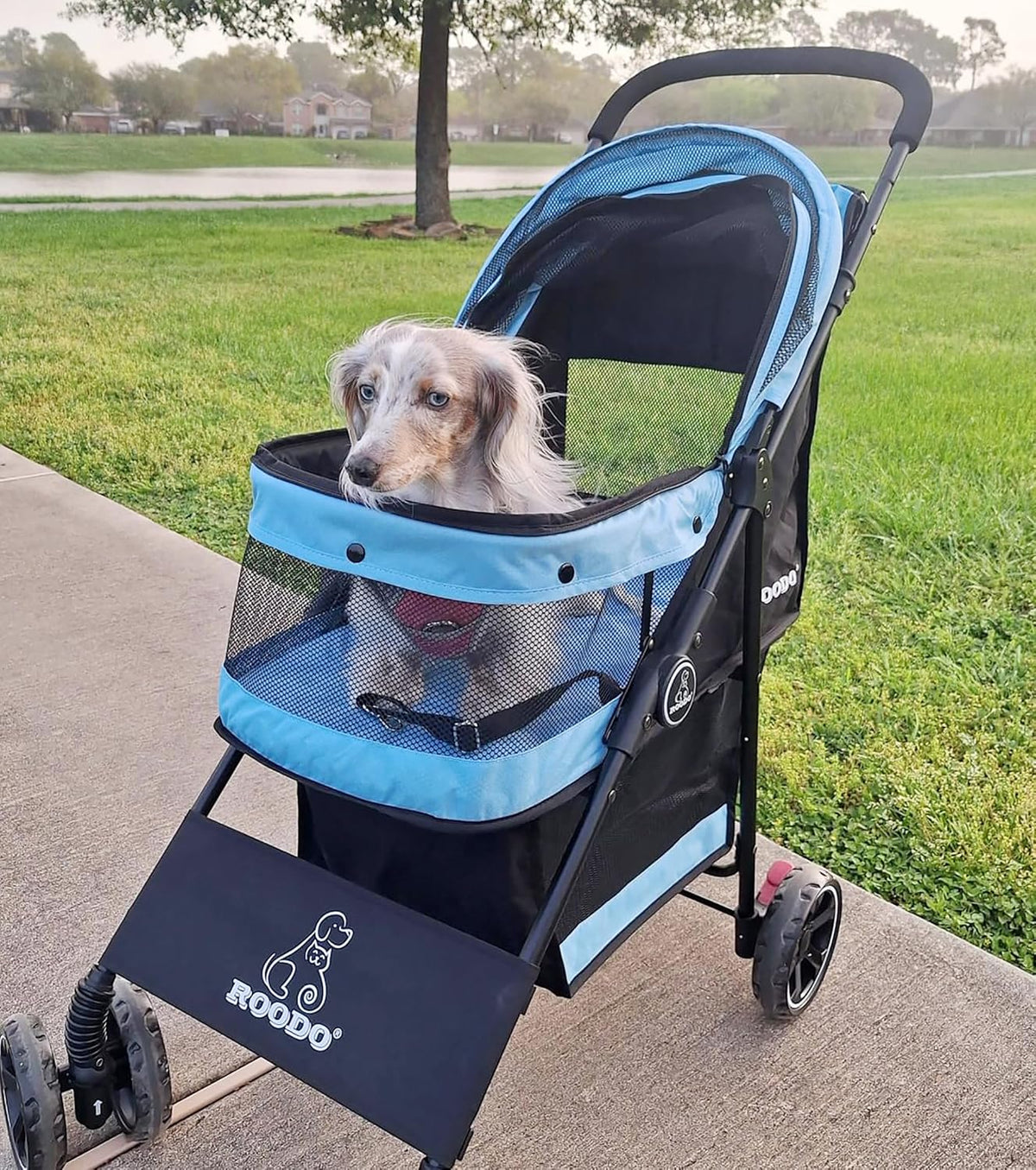 roodo 4 wheel dog cat pet stroller best shown in use