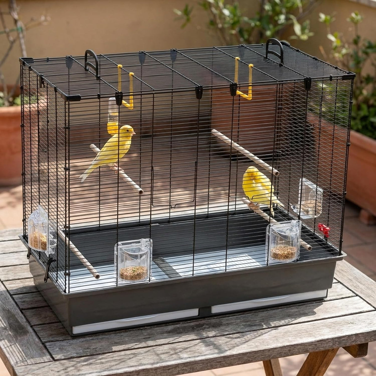 ferplast large cage for canaries, parakeet cage exotic shown in use