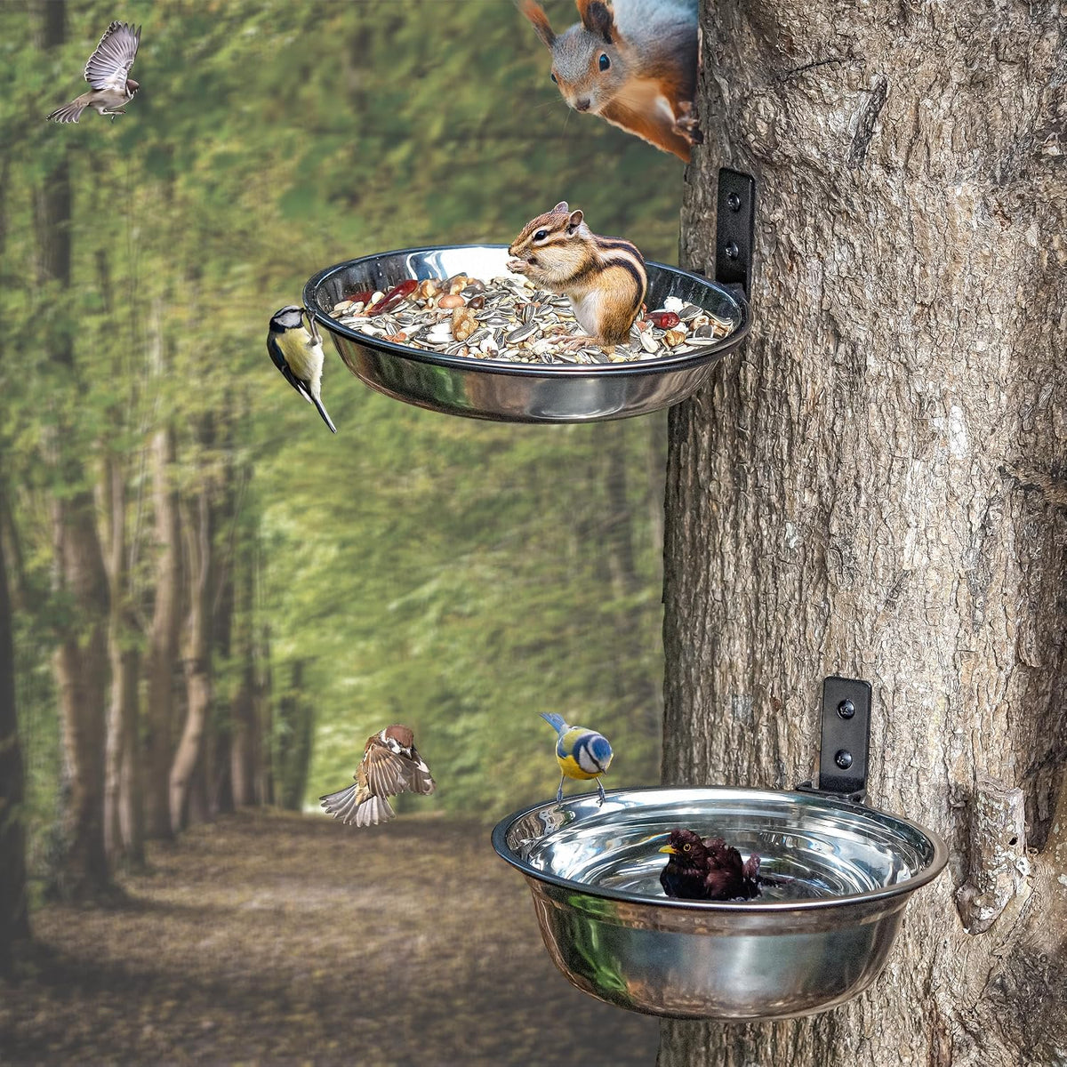 naceture 2 pack bird feeder bowls for outdoor, main product view
